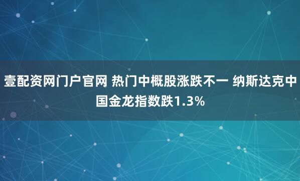 壹配资网门户官网 热门中概股涨跌不一 纳斯达克中国金龙指数跌1.3%