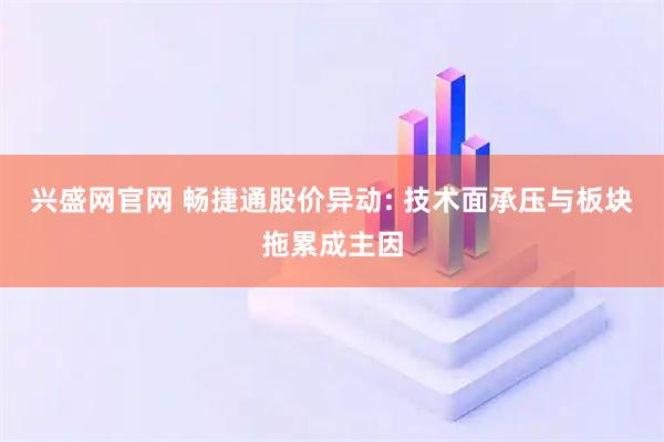 兴盛网官网 畅捷通股价异动: 技术面承压与板块拖累成主因